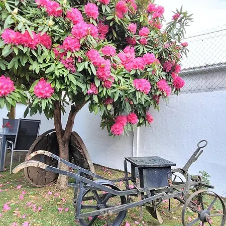 Besbello - דירה *