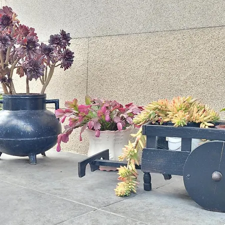 Besbello - * סנטיאגו דה קומפוסטלה