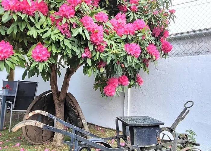 Besbello - アパート *